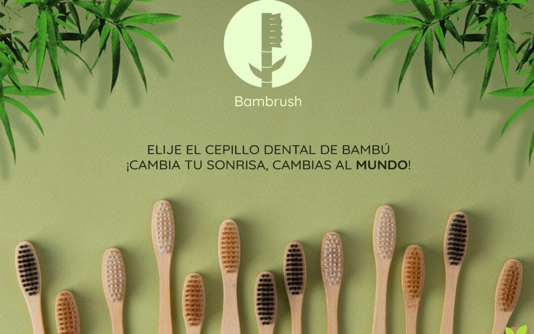 Bambrush